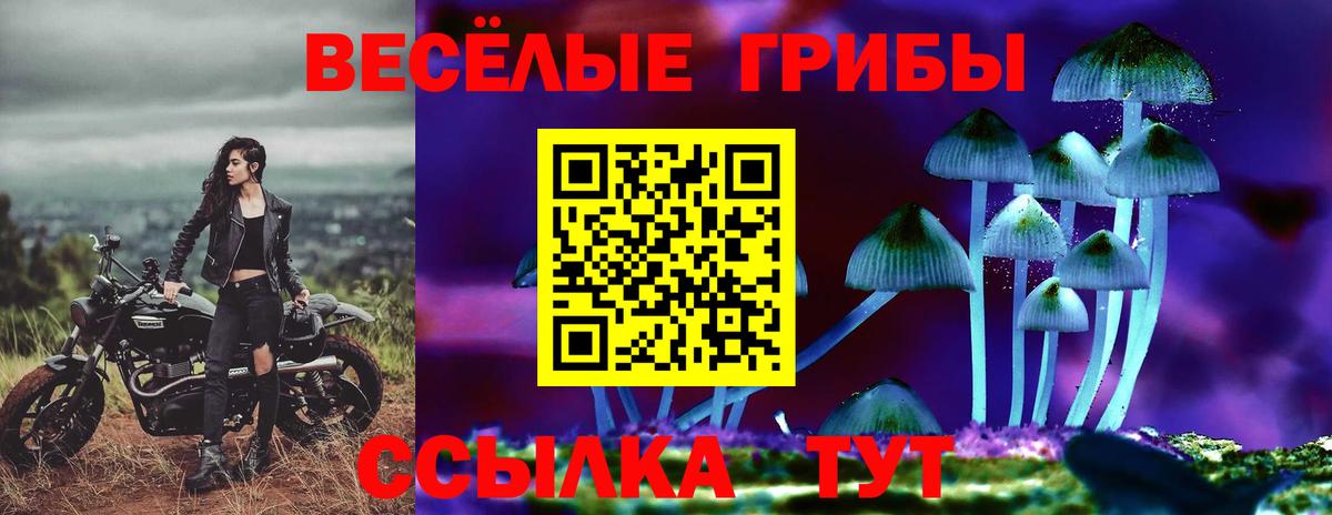 Псилоцибиновые грибы мухоморы Ликино-Дулёво