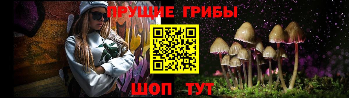 Галлюциногенные грибы мицелий  Вход с VPN  Ликино-Дулёво  Галлюциногенные грибы прущие грибы 